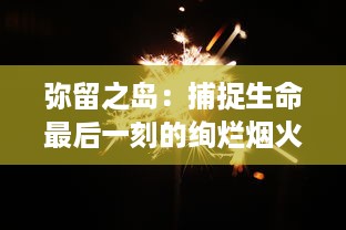 弥留之岛：捕捉生命最后一刻的绚烂烟火，揭示人性深处的无尽温暖与涅槃重生