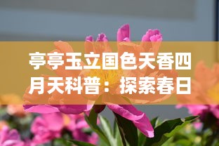 亭亭玉立国色天香四月天科普：探索春日花卉的迷人魅力与生态价值