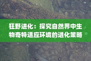 狂野进化：探究自然界中生物奇特适应环境的进化策略和人类科技的重大突破