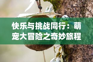 快乐与挑战同行：萌宠大冒险之奇妙旅程揭秘，爱与成长的故事正在上演