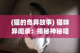 (猫的奇异故事) 猫咪异闻录：揭秘神秘喵星人的生活习性与聪明才智的小故事