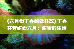 (六月份丁香到处开放) 丁香芬芳缤纷六月：甜蜜的生活、初夏的浪漫与满溢的盛夏香气