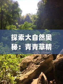 探索大自然奥秘：青青草精品视频让您亲密接触自然，感受生命力的流动