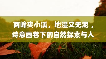 两峰夹小溪，地湿又无泥 ，诗意画卷下的自然探索与人生哲思 v5.3.5下载