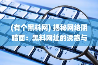 (有个黑料网) 揭秘网络阴暗面：黑料网址的诱惑与危害全解析