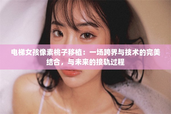 电梯女孩像素桃子移植：一场跨界与技术的完美结合，与未来的接轨过程