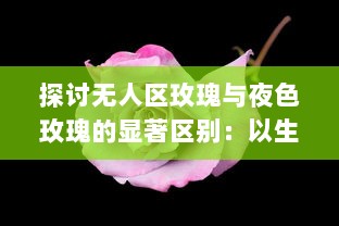 探讨无人区玫瑰与夜色玫瑰的显著区别：以生长环境、色彩特征和文化象征意义为切入点 v1.6.8下载