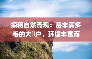 探秘自然奇观：岳丰满多毛的大隂户，环境丰富而神秘的生物栖息地 v8.6.7下载