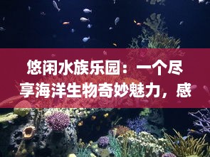 悠闲水族乐园：一个尽享海洋生物奇妙魅力，感受寓教于乐的全新休闲旅游去处