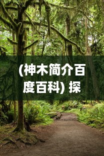 (神木简介百度百科) 探索神秘丛林，体验原生态之美 ，感受神木丽的魅力与神秘