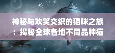 神秘与欢笑交织的猫咪之旅：揭秘全球各地不同品种猫咪的奇妙生活，世界猫物语