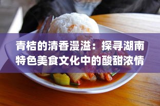 青桔的清香漫溢：探寻湖南特色美食文化中的酸甜浓情 v0.3.5下载