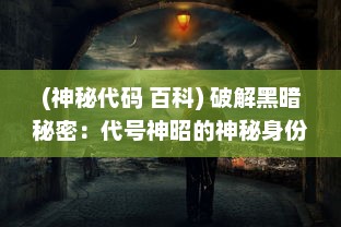 (神秘代码 百科) 破解黑暗秘密：代号神昭的神秘身份与惊天阴谋揭秘