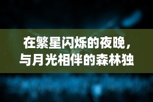 在繁星闪烁的夜晚，与月光相伴的森林独自述说着神秘的晚安故事