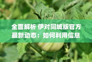 全面解析 伊对同城版官方最新动态：如何利用信息优势获得最大效益 v5.5.2下载