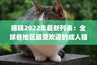 揭晓2022年最新列表：全球各地区最受欢迎的成人猫咪网名一览 v0.4.6下载