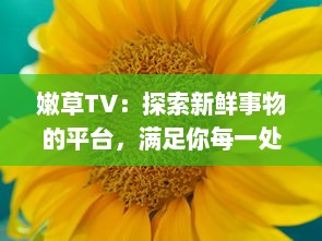 嫩草TV：探索新鲜事物的平台，满足你每一处好奇，爱上独特创意的绝佳地方 v1.7.2下载