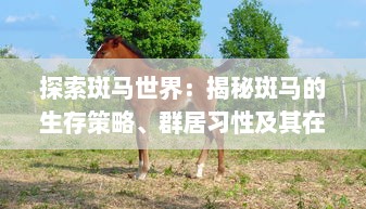 探索斑马世界：揭秘斑马的生存策略、群居习性及其在生态环境中的重要作用