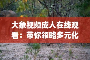 大象视频成人在线观看：带你领略多元化娱乐新体验，探索丰富多彩的成人教育视界 v7.2.5下载