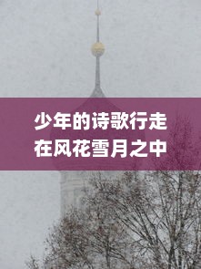 少年的诗歌行走在风花雪月之中：重新诠释古人抒发情感的悠远旅程