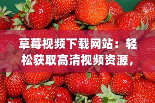 草莓视频下载网站：轻松获取高清视频资源，满足您全方位的观影需求 v7.1.2下载