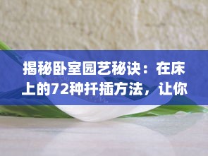 揭秘卧室园艺秘诀：在床上的72种扦插方法，让你的植物生长更茂盛 v6.0.0下载