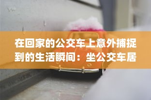 在回家的公交车上意外捕捉到的生活瞬间：坐公交车居然为我带来了两幅富有人情味的图片 v8.4.0下载