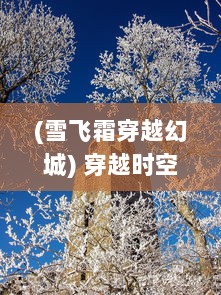 (雪飞霜穿越幻城) 穿越时空的爱恋：雪幻城缘之冰封千年的浪漫传说