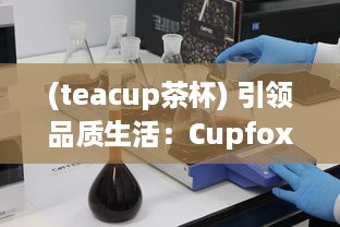 (teacup茶杯) 引领品质生活：Cupfox茶杯官网入口提供专业选购指南与售后保障