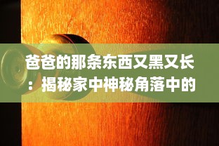 爸爸的那条东西又黑又长：揭秘家中神秘角落中的老式钓鱼竿传承故事