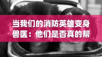 当我们的消防英雄变身兽医：他们是否真的帮忙剪除了狗狗身上的毛发