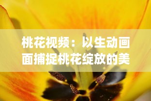 桃花视频：以生动画面捕捉桃花绽放的美丽与韵味，为您带来视觉与感觉的双重享受 v9.7.1下载