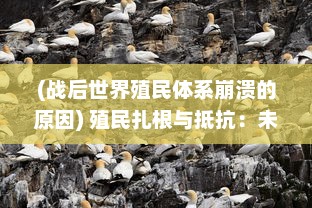 (战后世界殖民体系崩溃的原因) 殖民扎根与抵抗：未来战争中全球殖民冲突的演变与影响研究