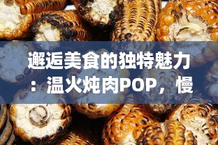 邂逅美食的独特魅力：温火炖肉POP，慢煮的细腻与滋味，诠释你未曾知晓的食物烹饪艺术