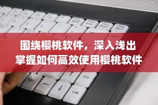 围绕樱桃软件，深入浅出 掌握如何高效使用樱桃软件，助力工作与学习达到事半功倍的效果