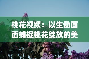 桃花视频：以生动画面捕捉桃花绽放的美丽与韵味，为您带来视觉与感觉的双重享受 v1.2.7下载