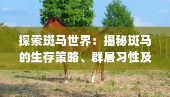 探索斑马世界：揭秘斑马的生存策略、群居习性及其在生态环境中的重要作用