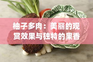 柚子多肉：美丽的观赏效果与独特的果香滋味的完美结合 v6.7.6下载