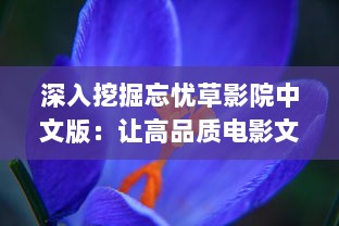 深入挖掘忘忧草影院中文版：让高品质电影文化与国人心灵深处的情感触动相融合