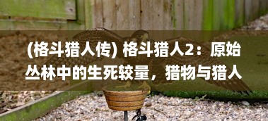 (格斗猎人传) 格斗猎人2：原始丛林中的生死较量，猎物与猎人的巅峰对决