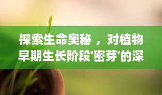 探索生命奥秘 ，对植物早期生长阶段'密芽'的深入研究与实验 v3.5.4下载