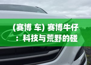 (赛博 车) 赛博牛仔：科技与荒野的碰撞，漫游未来世界的新一代勇者