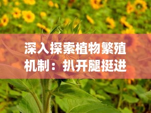 深入探索植物繁殖机制：扒开腿挺进湿润的花苞高清视频展示 v2.5.4下载