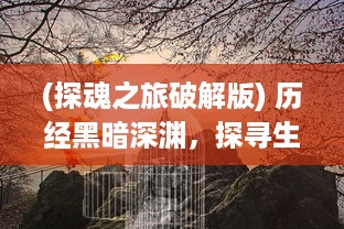 (探魂之旅破解版) 历经黑暗深渊，探寻生命深意：揭秘雄心壮志的探魂之旅