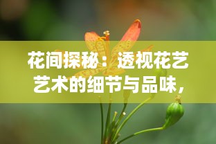 花间探秘：透视花艺艺术的细节与品味，揭示花间世界的独特魅力和浪漫情怀