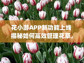 花小游APP新功能上线 揭秘如何高效管理花草，让爱花人士轻松养花。 v7.8.8下载