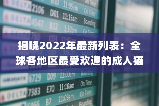 揭晓2022年最新列表：全球各地区最受欢迎的成人猫咪网名一览 v2.3.9下载