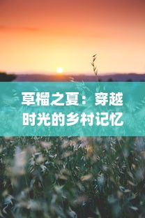 草榴之夏：穿越时光的乡村记忆与生活哲学的深度挖掘