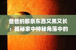 爸爸的那条东西又黑又长：揭秘家中神秘角落中的老式钓鱼竿传承故事 v4.7.6下载