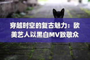 穿越时空的复古魅力：欧美艺人以黑白MV致敬众多经典影像艺术 v3.8.3下载